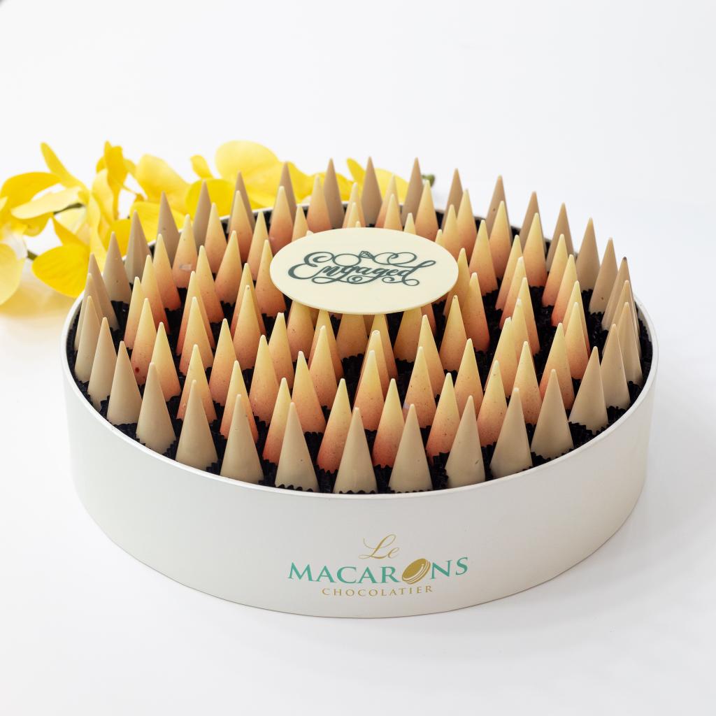 Le macarons chocolatier - chocolate Large Round box (60)